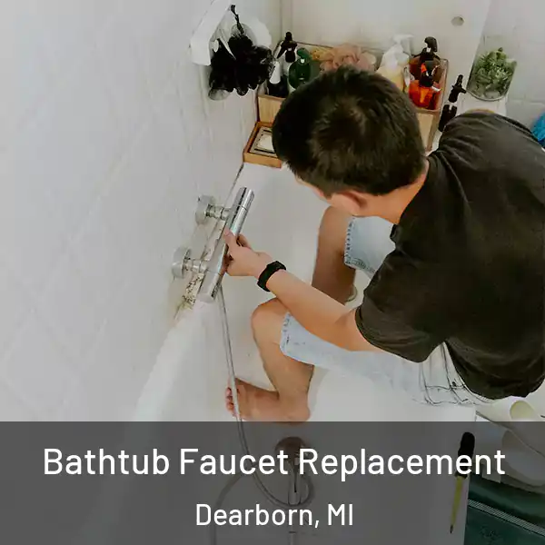  Bathtub Faucet Replacement Dearborn, MI