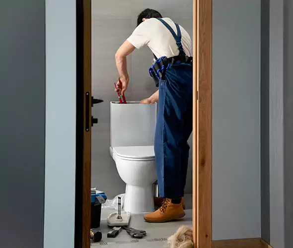 Professional Plumbers for Toilet Bowl Replacement in Dearborn, MI: Schedule Affordable Toilet Replacement Services With Us